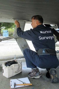 marine-surveyor